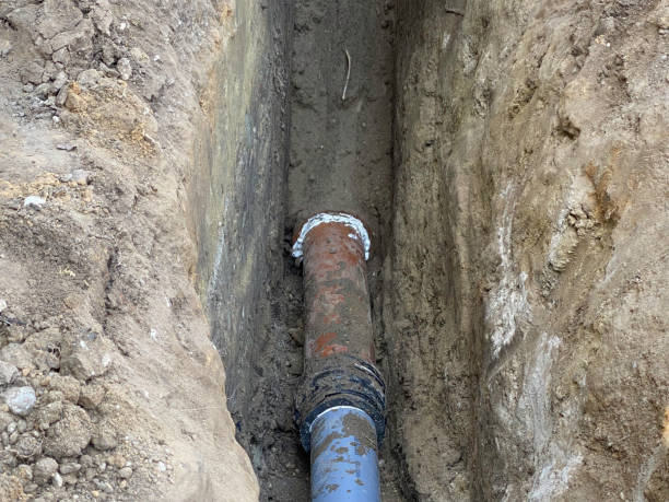 Best Flood restoration services  in Seville, FL